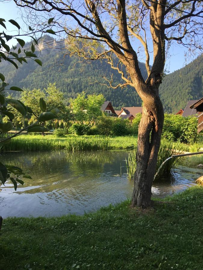 Apartament I Pokoje U Piotra Sromowce Nizne Bagian luar foto
