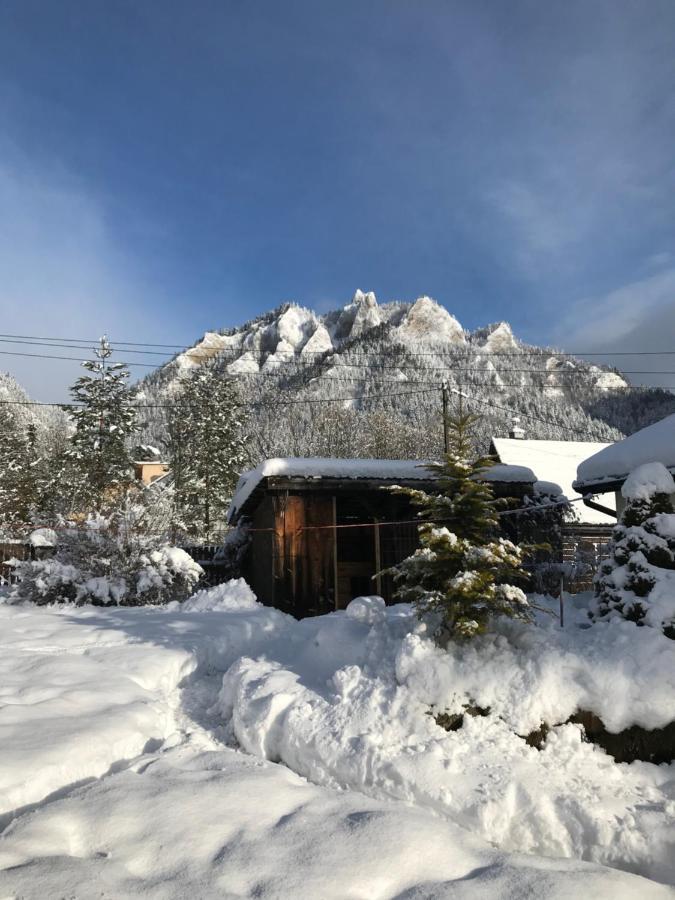 Apartament I Pokoje U Piotra Sromowce Nizne Bagian luar foto